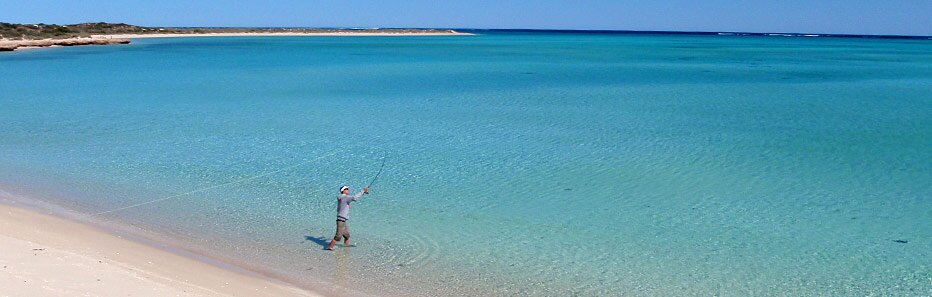 Plomadas para la pesca ecológicos.